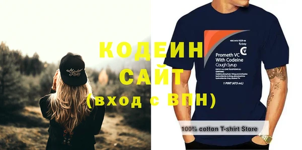 гидра Арсеньев