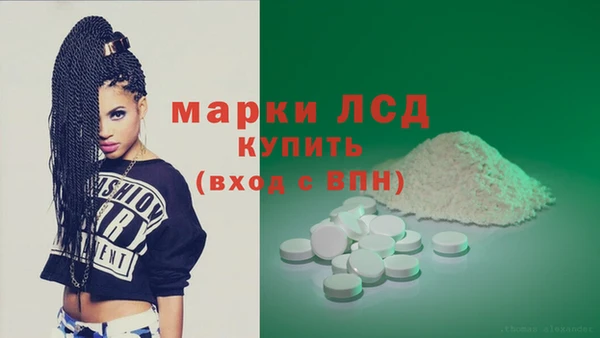 гидра Арсеньев