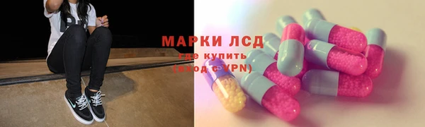 гидра Арсеньев
