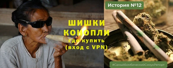 PSILOCYBIN Аркадак