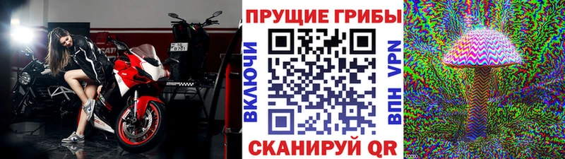mega зеркало  закладки  Наволоки  Псилоцибиновые грибы Cubensis 